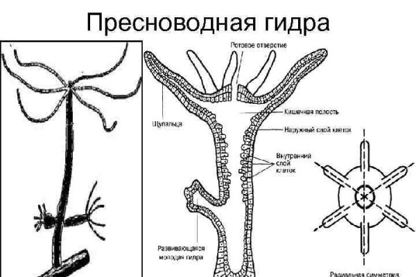 Вход кракен